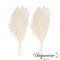 Uniquewise Preserved Real Floral Stems Chic Vase Fillers & Accents for Bouquets Centerpieces & Ornamental Displays Ideal for Home Office Boutique Cafe Resto Bar and Event Decor